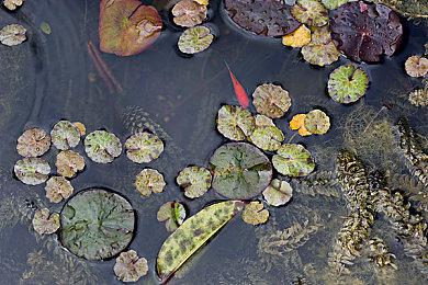 经典重生 玩家自制版《洛克人DASH》发布试玩版